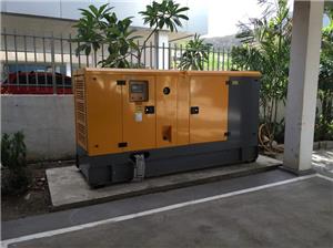 Bidirection Power 110 kVA Generator Set at Papua New Guinea