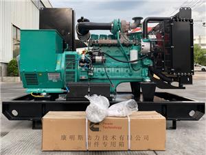 Set generator diesel Cummins de tip deschis 137,5kVA pentru client Palau