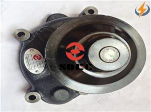 Water Pump D20-000-900 for SDEC Engines