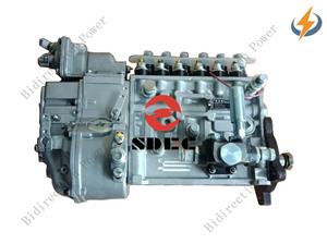 Fuel Injection Pump S00010459 for SDEC Engines