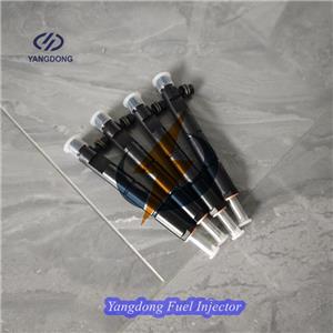 Yangdong YSD490T Fuel Injector
