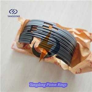 Yangdong YND485D Piston Rings