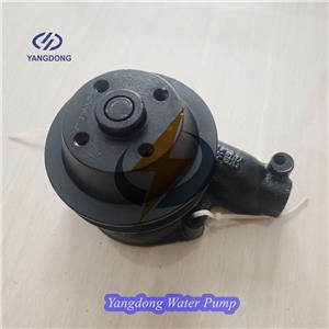 Yangdong YND485T Water Pump