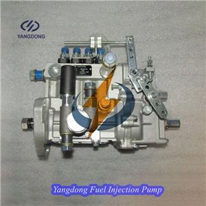 Yangdong Y4102G Fuel Injection Pump