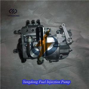 Yangdong Y380T Fuel Injection Pump