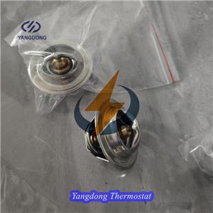 Yangdong Y495D Thermostat