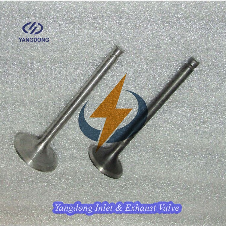 Yangdong YD385D Intake Valve and YD385D Exhaust Valve Manufacturers, Yangdong YD385D Intake Valve and YD385D Exhaust Valve Factory, Supply Yangdong YD385D Intake Valve and YD385D Exhaust Valve