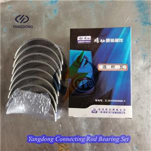 Yangdong Y495D Connecting Rod Bearings