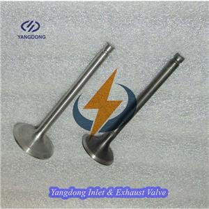 Yangdong Y495D Intake Valve and Exhaust Valve